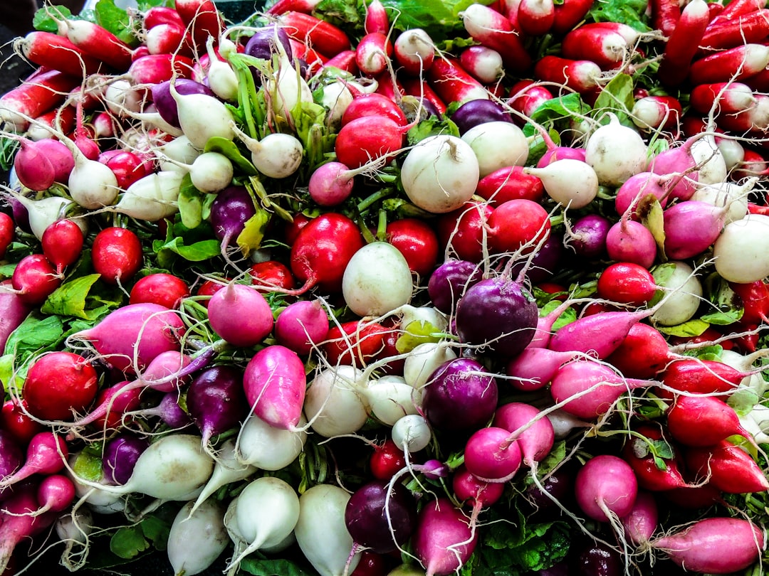 Photo purple vegetable